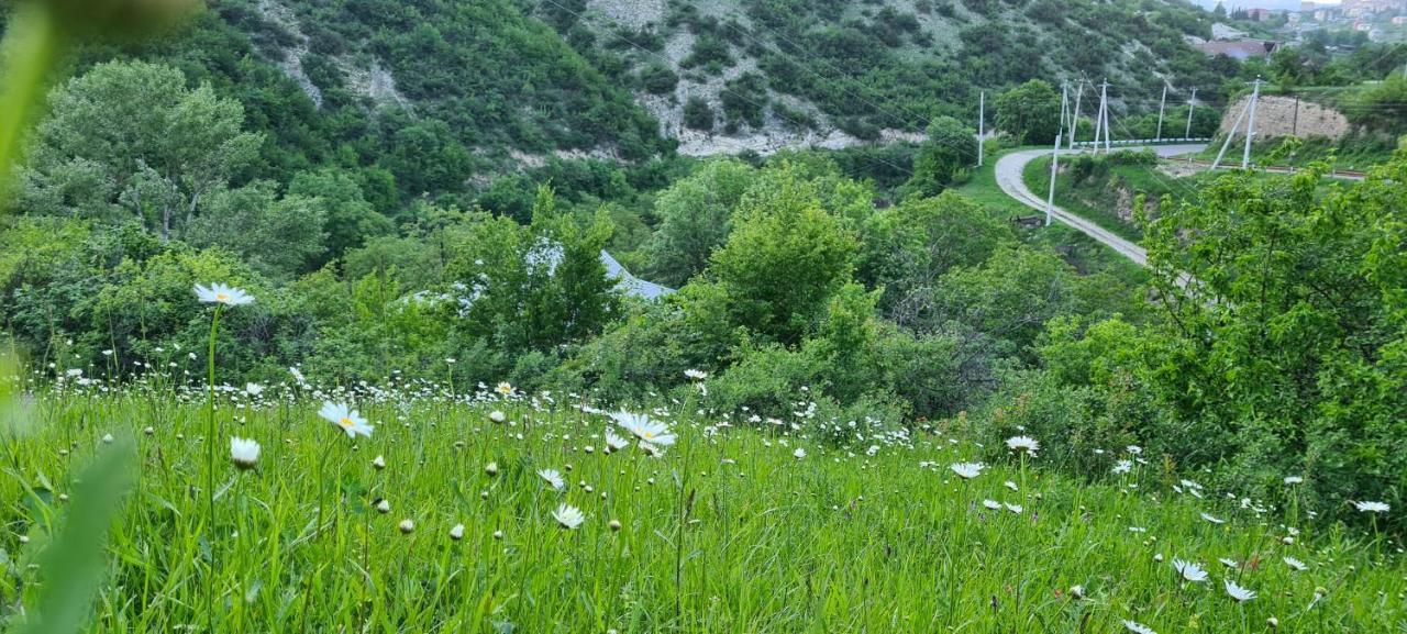 "Budur" Guest House Gandzakar Exterior photo